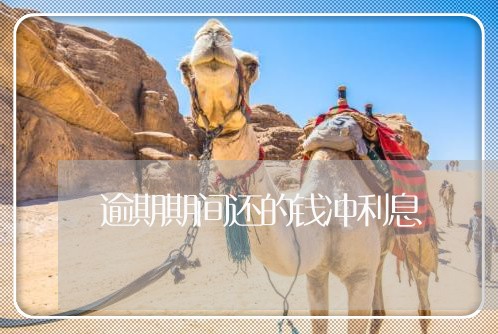 逾期期间还的钱冲利息