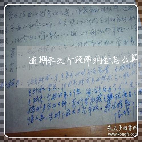 逾期未交个税滞纳金怎么算