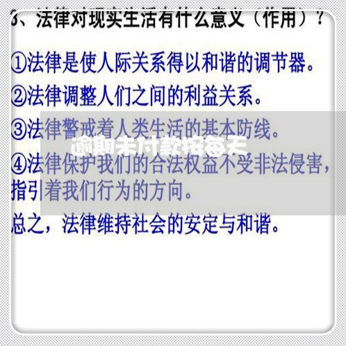 逾期未付款按每天