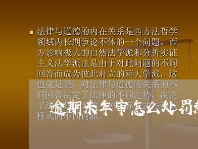 逾期未年审怎么处罚规定