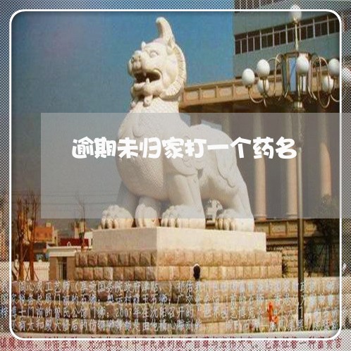 逾期未归家打一个药名