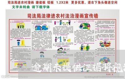 逾期未提供证据将视为