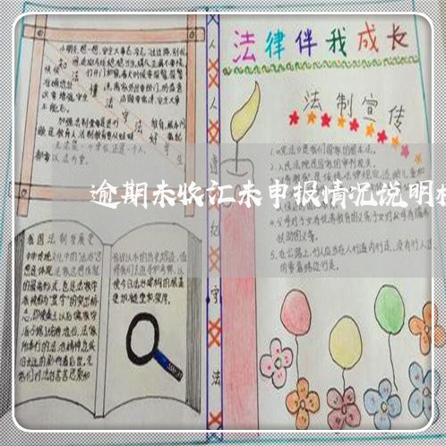 逾期未收汇未申报情况说明模板