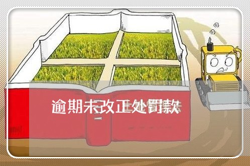 逾期未改正处罚款