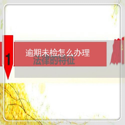 逾期未检怎么办理