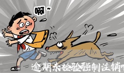 逾期未检验强制注销啥意思