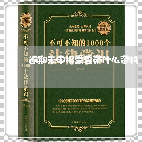 逾期未申报需要带什么资料