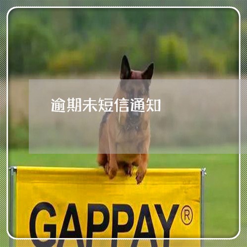 逾期未短信通知