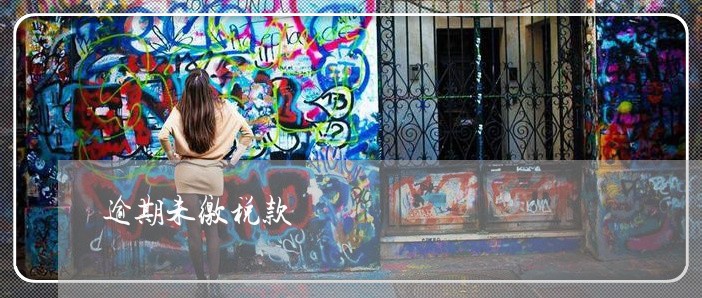 逾期未缴税款