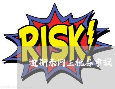逾期未网上税务申报