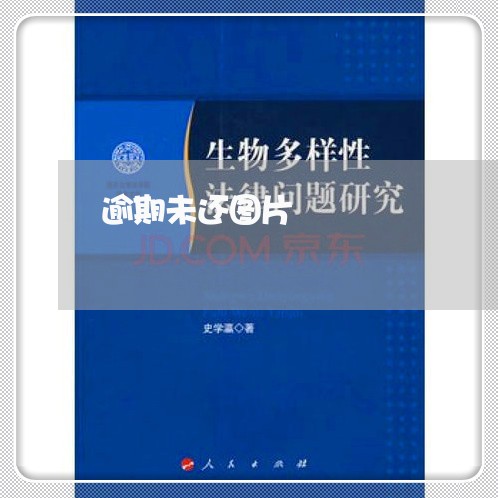 逾期未还图片