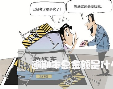 逾期本息金额是什么
