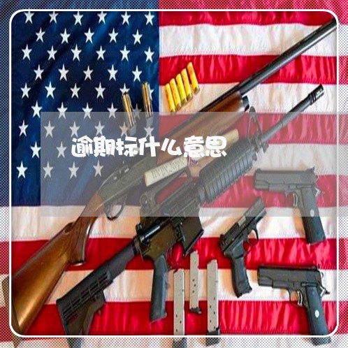 逾期标什么意思 逾期标什么意思