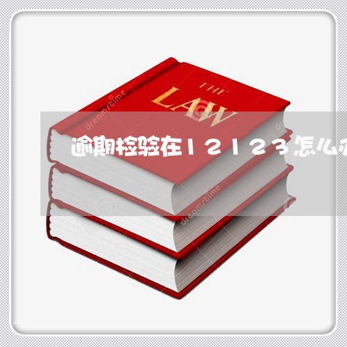 逾期检验在12123怎么办理 逾期检验在12123怎么办理