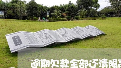逾期欠款全部还清限高令怎么撤除
