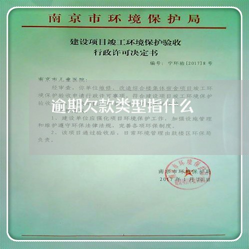 逾期欠款类型指什么