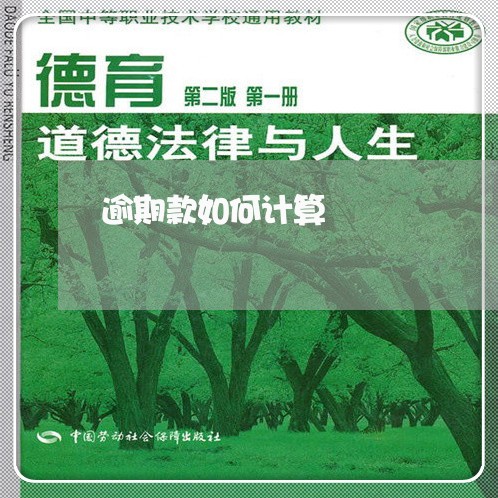 逾期款如何计算