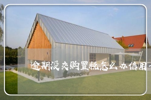 逾期没交购置税怎么办信用卡 逾期没交购置税怎么办信用卡