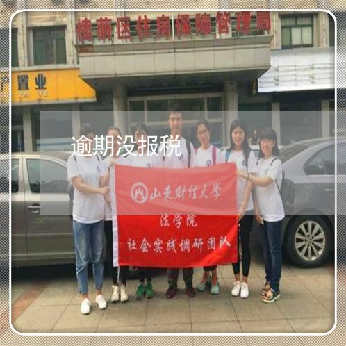 逾期没报税 逾期没报税