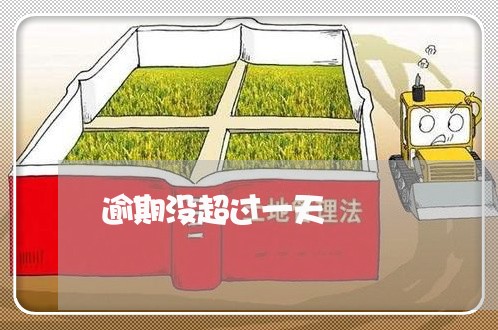逾期没超过一天 逾期没超过一天