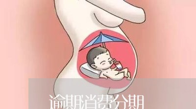逾期消费分期