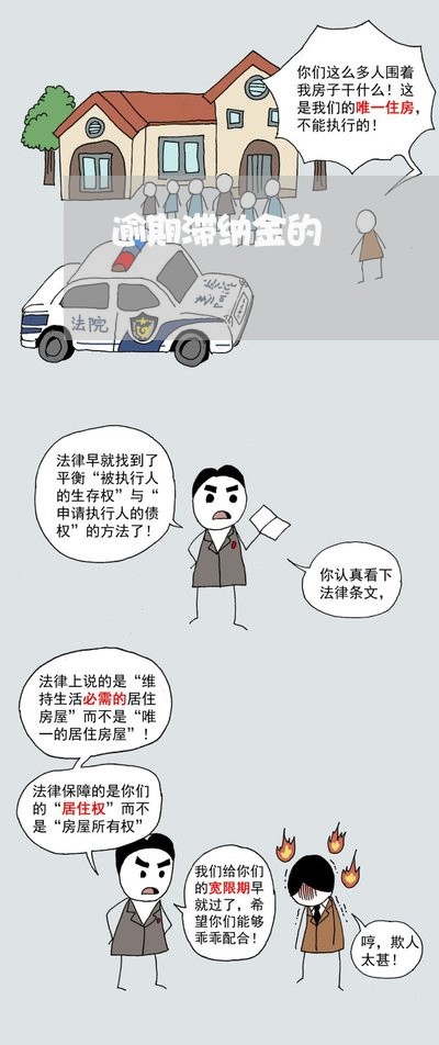 逾期滞纳金的 逾期滞纳金的