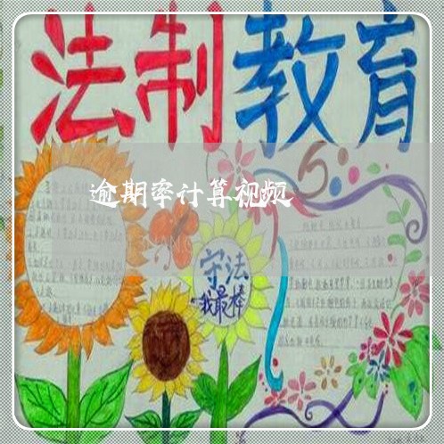 逾期率计算视频