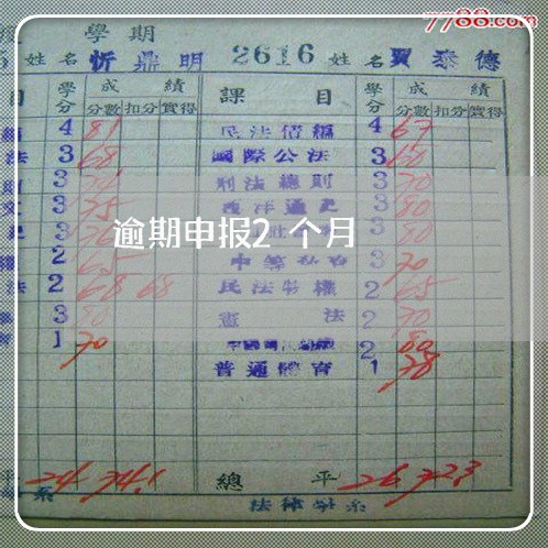 逾期申报2个月