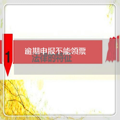 逾期申报不能领票