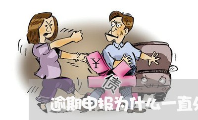 逾期申报为什么一直处于未导入 逾期申报为什么一直处于未导入