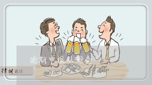 逾期申报从哪查 逾期申报从哪查