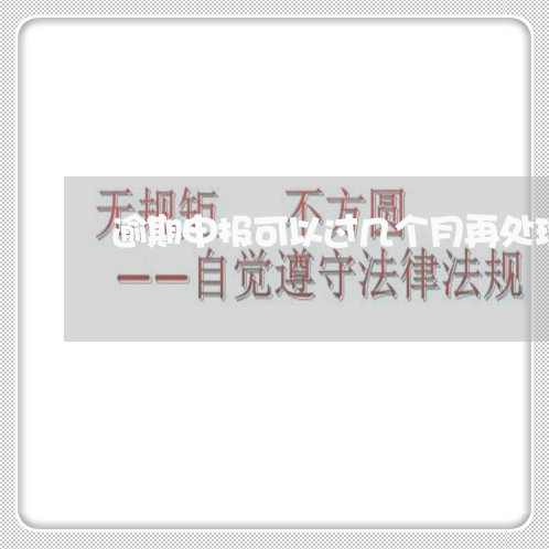 逾期申报可以过几个月再处理吗 逾期申报可以过几个月再处理吗