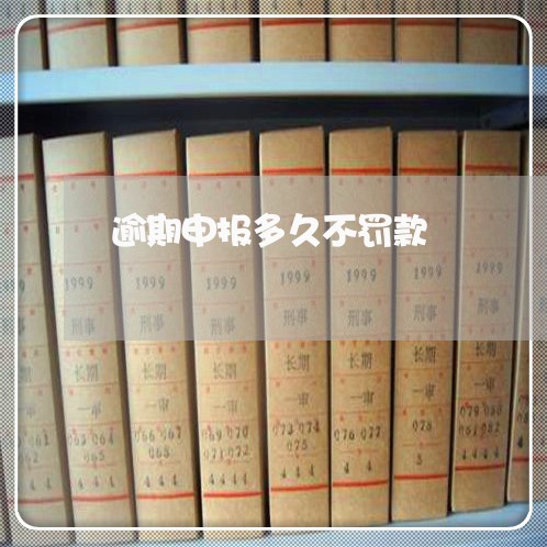 逾期申报多久不罚款