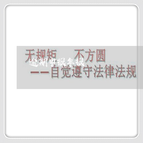 逾期申报年报 逾期申报年报