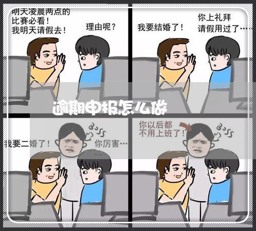 逾期申报怎么做