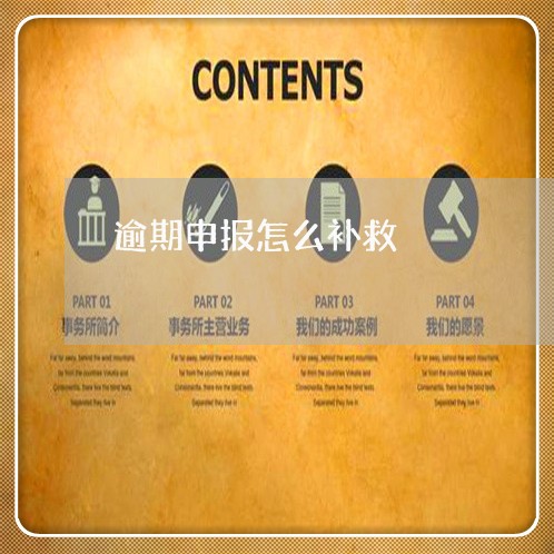 逾期申报怎么补救 逾期申报怎么补救