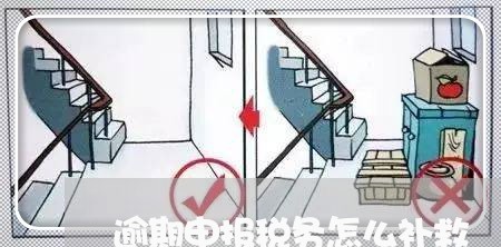 逾期申报税务怎么补救