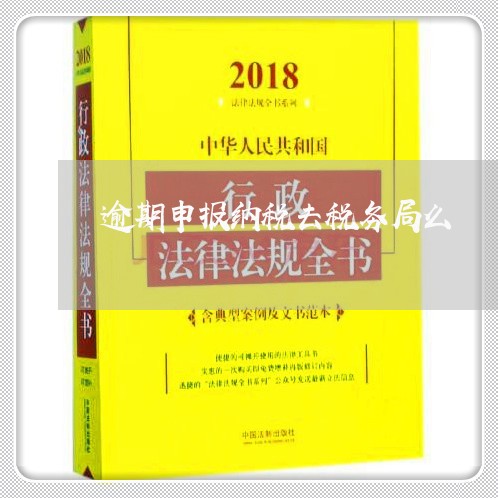 逾期申报纳税去税务局么 逾期申报纳税去税务局么