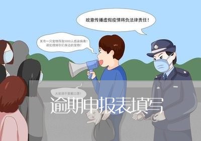 逾期申报表填写