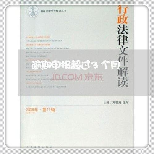 逾期申报超过3个月
