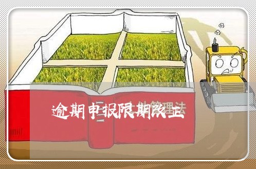 逾期申报限期改正 逾期申报限期改正