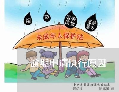 逾期申请执行原因