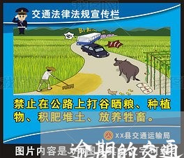 逾期的交通罚单可以在自助交吗 逾期的交通罚单可以在自助交吗