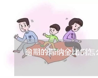 逾期的滞纳金比例怎么算/2023120937059