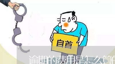 逾期的费用是怎么算的 逾期的费用是怎么算的