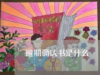 逾期确认书是什么