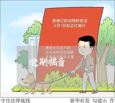 逾期福音 逾期福音