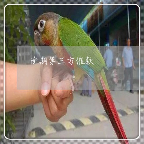 逾期第三方催款