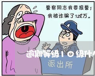 逾期等级10级什么意思