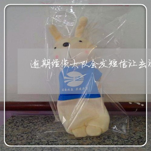 逾期经侦大队会发短信让去调查吗